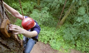 Real Tree Climbing