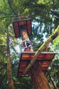 High Ropes Platforms
