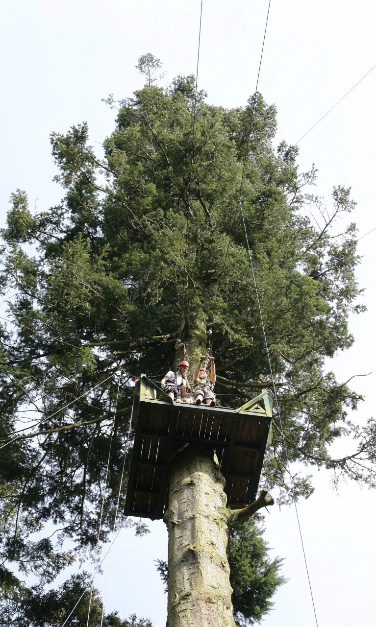 High Platform